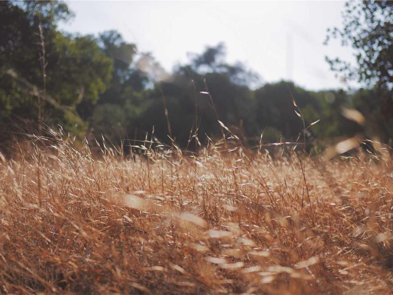 酒店试睡员<br>ly8tfut.cn 枕头舒适度报告